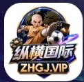 纵横国际